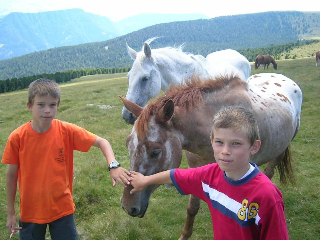 Garni Panoramik Hotel Ortisei Kültér fotó